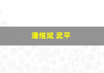 潘维斌 武平